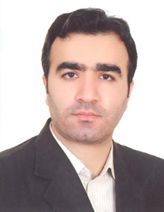 سیدحامد معراجی